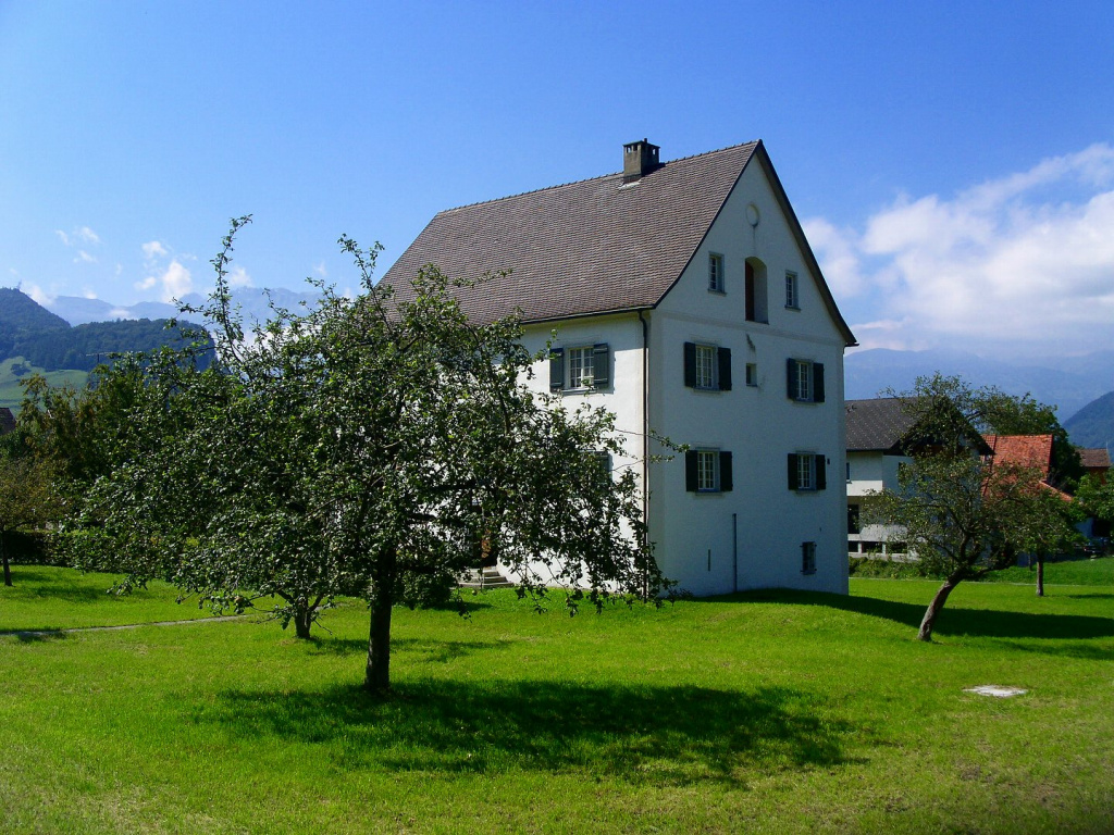 PICT5578.jpg
