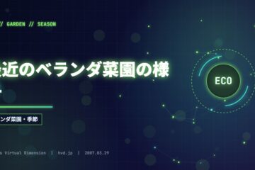 最近のベランダ菜園の様子
