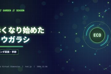 赤くなり始めたトウガラシ