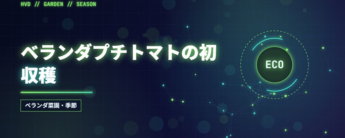 ベランダプチトマトの初収穫
