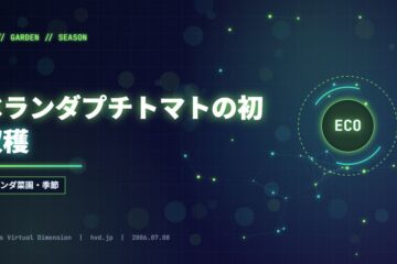 ベランダプチトマトの初収穫