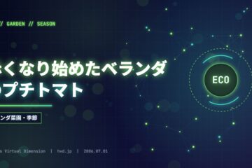 赤くなり始めたベランダのプチトマト