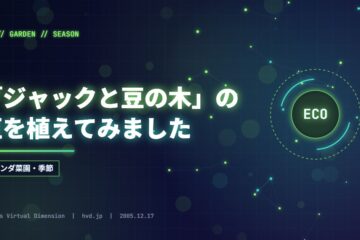 「ジャックと豆の木」の豆を植えてみました