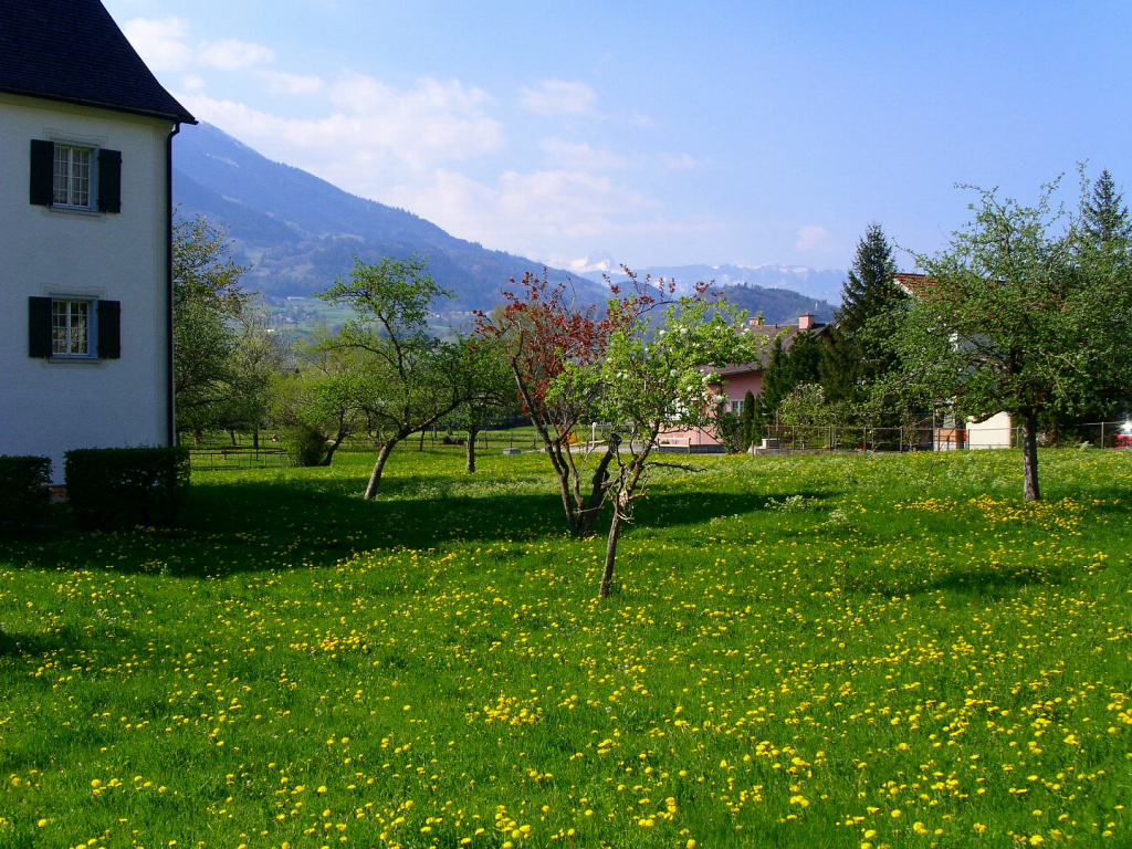 PICT0342.jpg