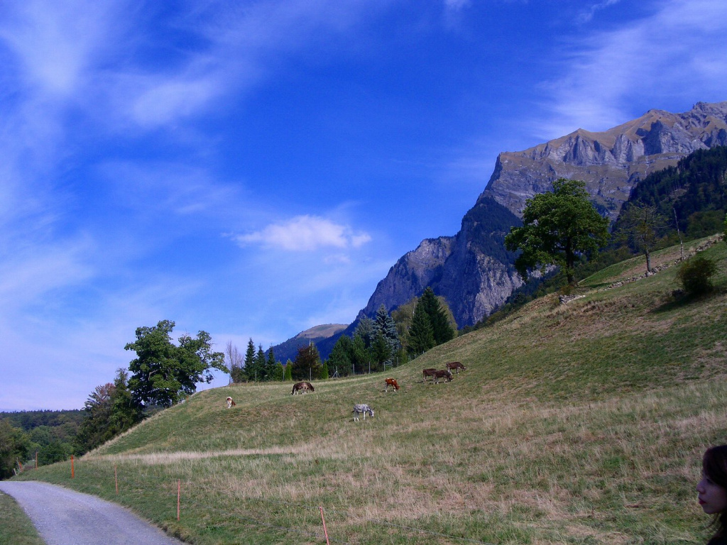 PICT1316.jpg