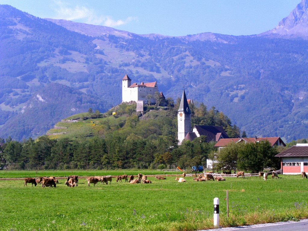 Pict1349.jpg