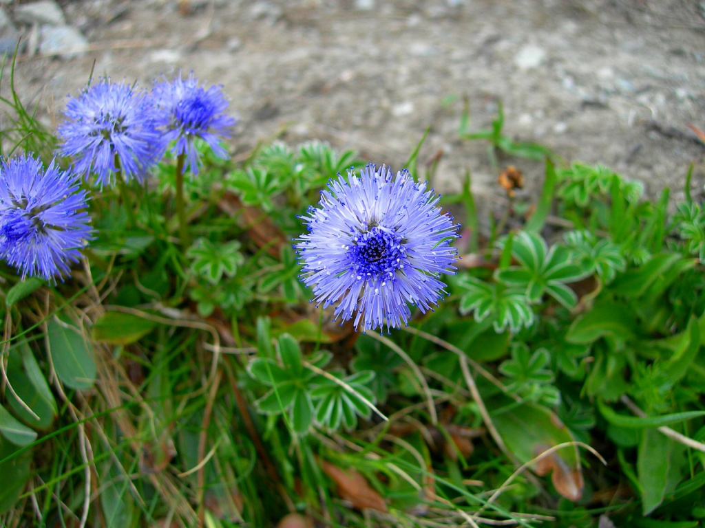 DSCN0418.jpg