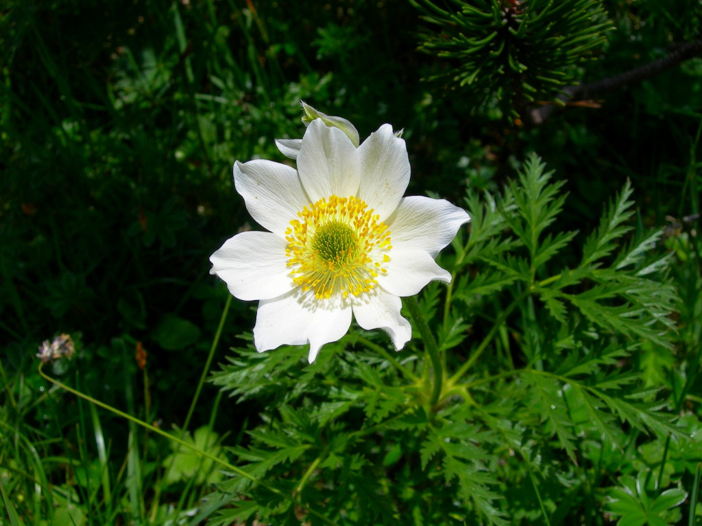 DSCN0596.jpg