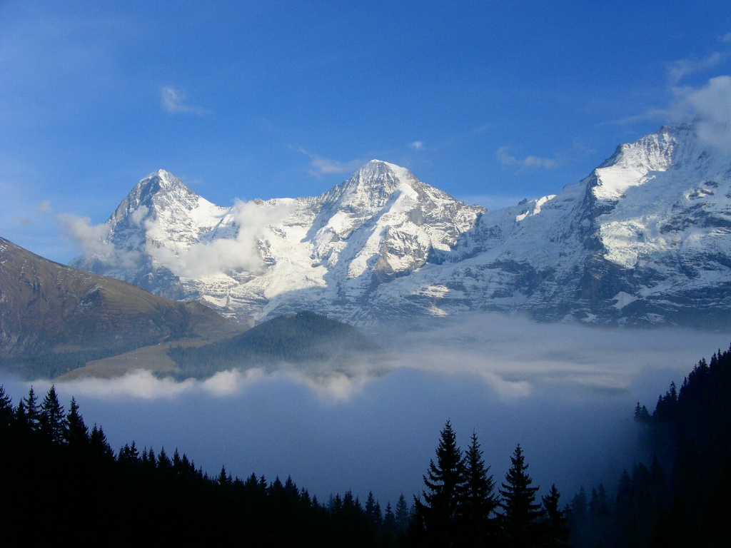 PICT2205.jpg